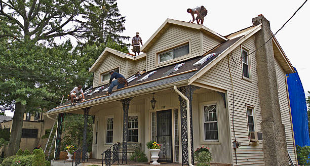 Best Storm Damage Roof Repair  in Iselin, NJ