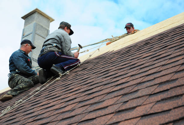 Best Roof Maintenance Services  in Iselin, NJ